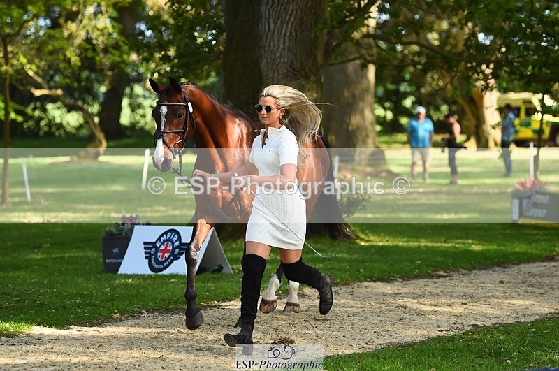 230524-171410-01370 - 165-LEV_IDWJ-Danielle_Frost-WEDTrotUp+DR