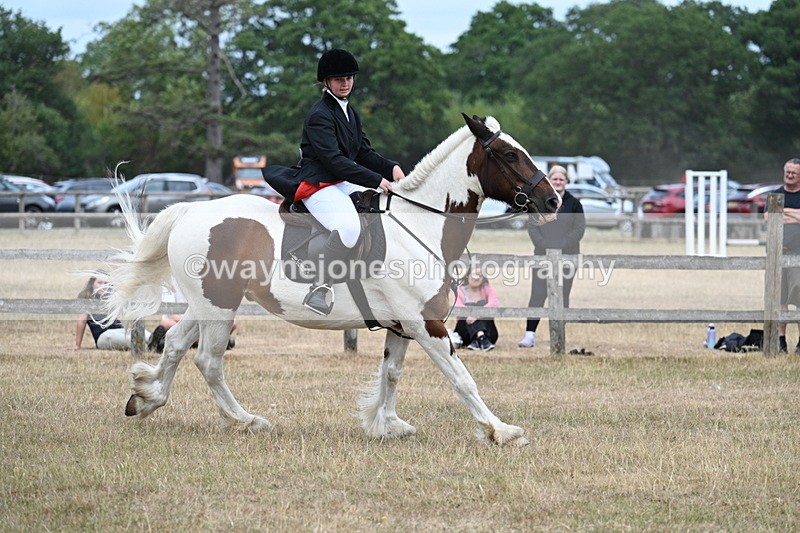 WJ7_1380 - Class 8 Ridden Veterans