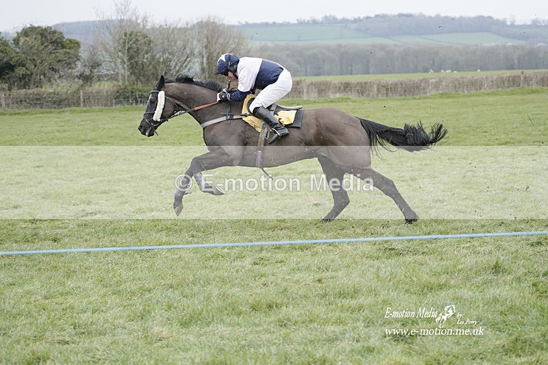 PtP 050323 489 - Blackmore & Sparkford Vale Hunt PtP - Somerset 05/03/23