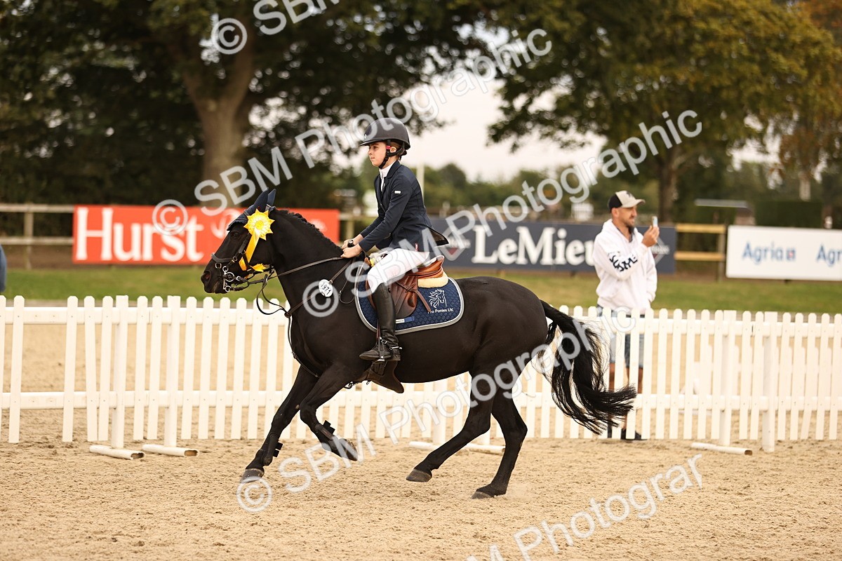SBM_74507 - J14 - Junior Pony 65cm Championship