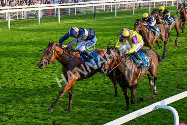 111025-Race 7-Lets Dream-0725 - Race 7 Coral 'Committed To Safer Gambling' Finale Handicap at York