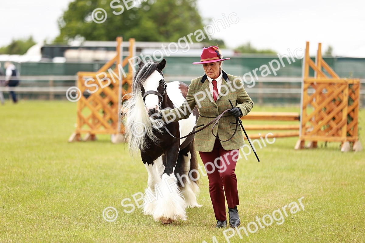 SBM_06052 - Class 39-41 TGCA In Hand and Ridden