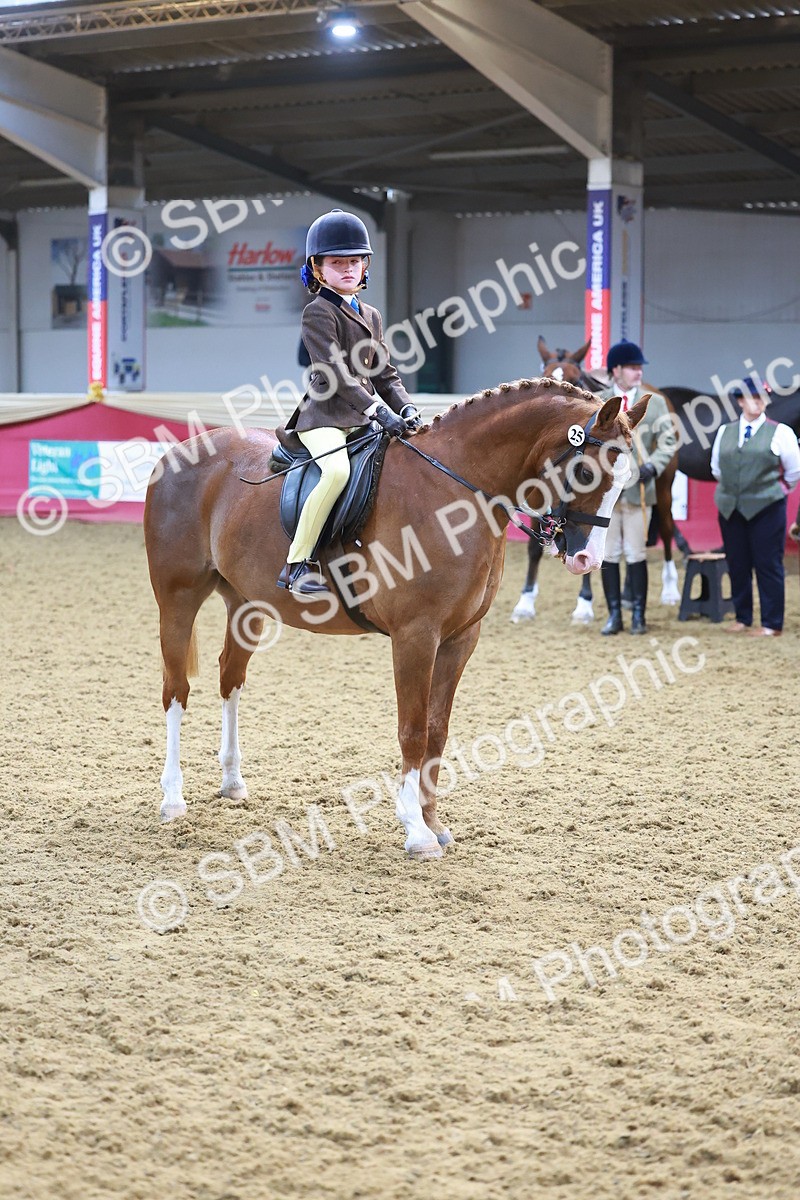 SBM_07696 - Class 101 - HOYS Veteran Qualifier - Ridden Diamond