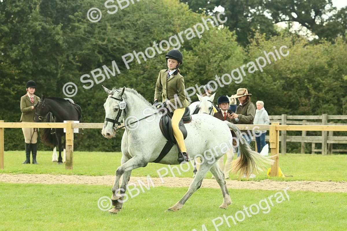 SBM_74059 - S 61 - Show Pony & Show Hunter Pony Ridden