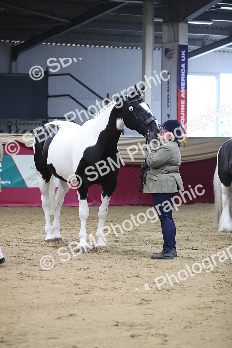 SBM_06391 - Class 9R Regional- IH Pre Vet