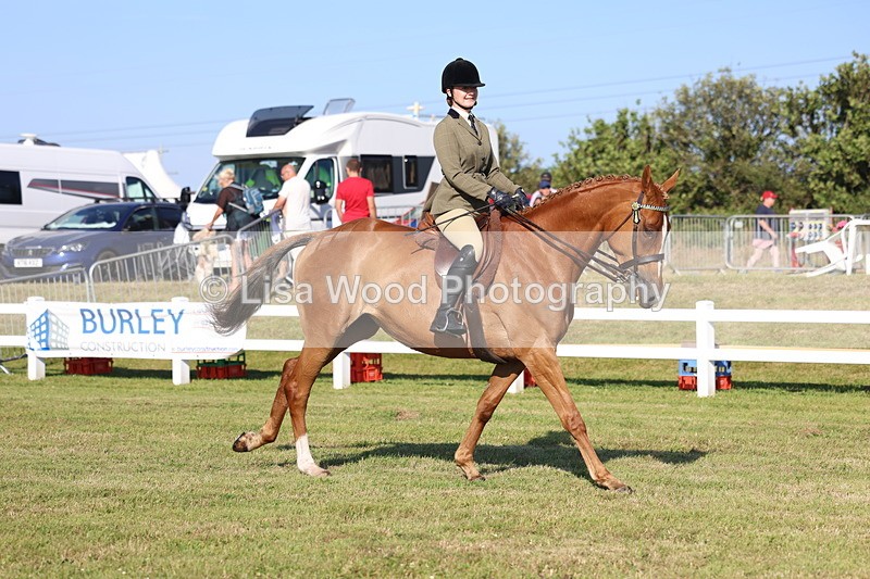 3E7A5294 - Class 2: Rising Star Large Hack/Riding Horse