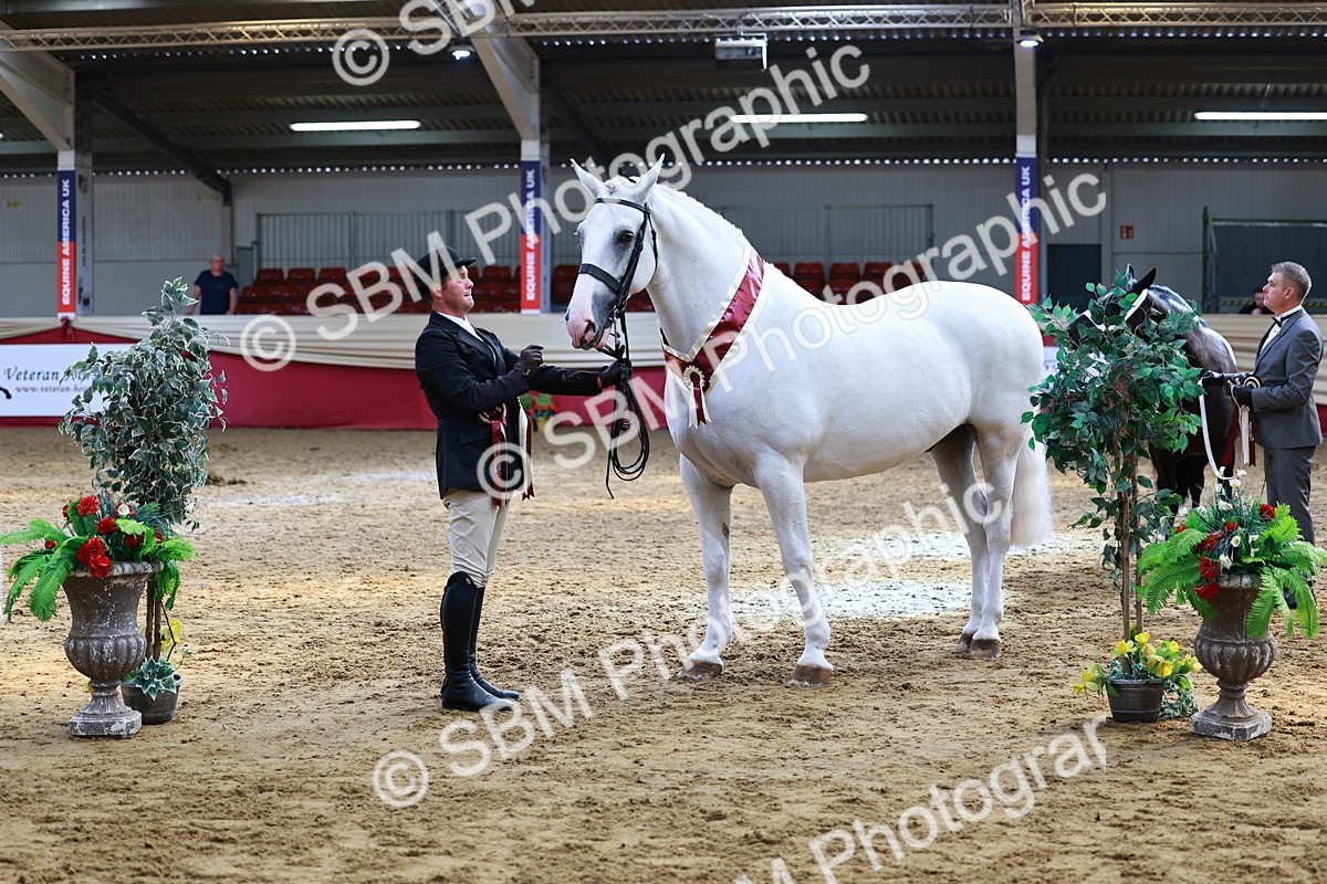 SBM_23290 - Class 903 - Supreme Final - IH Pre Vet