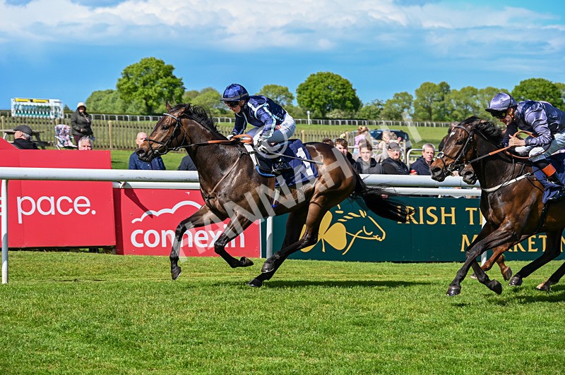 120526-Race 3-Merlier-7819 - Race 3 3.30pm Bowel Cancer Screening Programme Saves Lives Selling Stakes