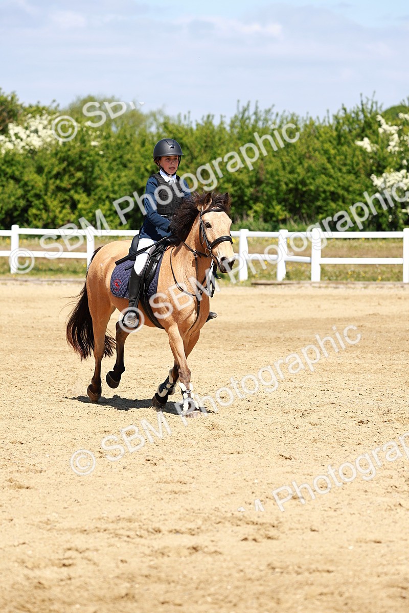 SBM_007576 - Class 3 - 60cm