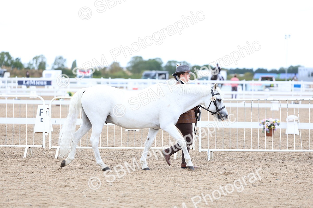 SBM_04985 - Class 27 - IH Competition Horse or Pony