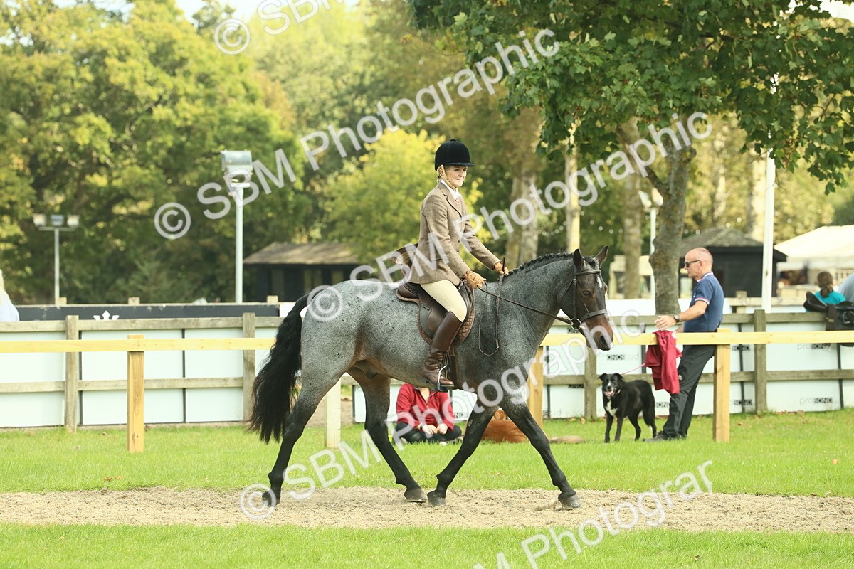 SBM_62607 - S63 - Other Coloured Horse Ridden