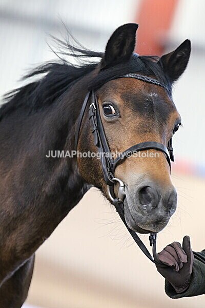 SIAL9537 - Indoor Classes