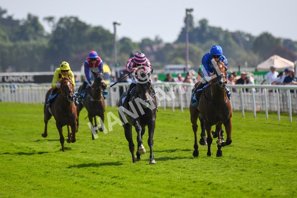 160623-Race 4-Chichester-0465 - Race 4 3.35pm Seat Unique Ganton Stakes