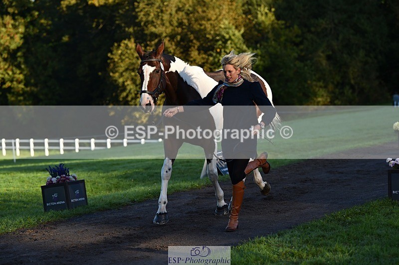 231022-085830-21482 - 669-FOXRIDGE.HIGH.JINX-Claire.Deuten-TrotUp+SJ