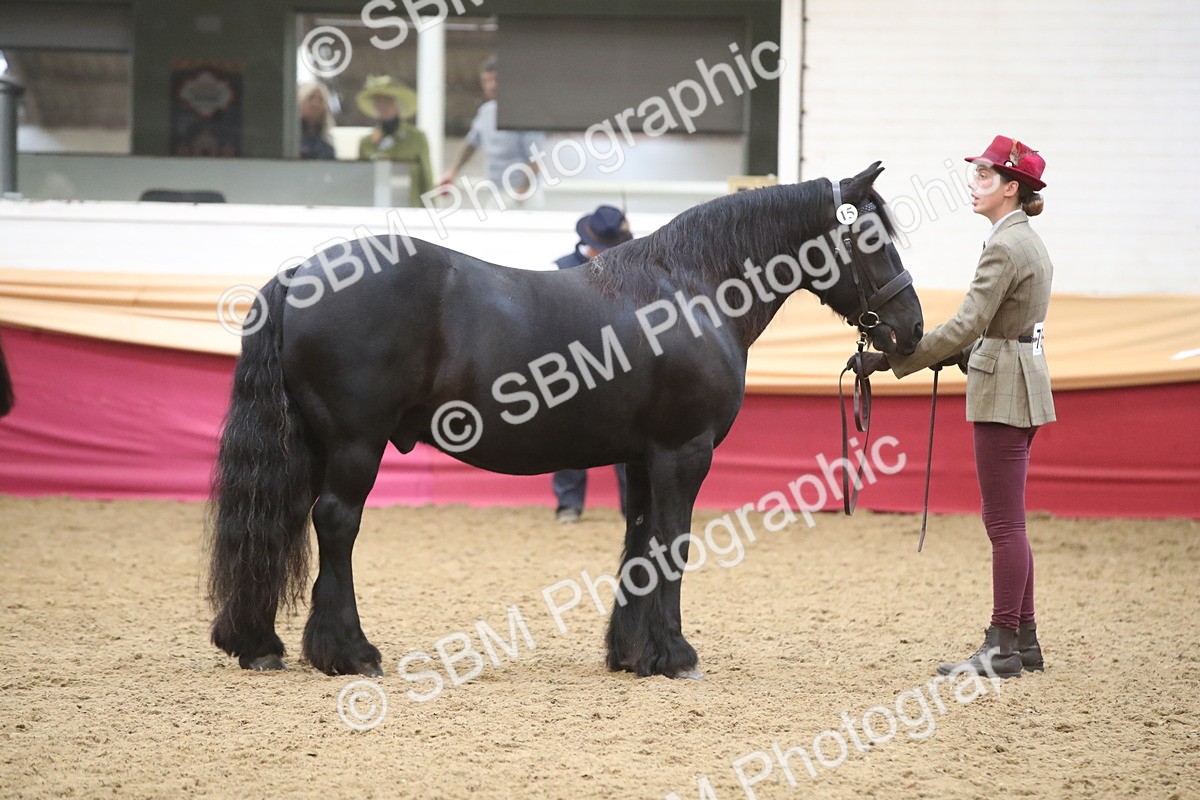 SBM_05706 - Class 9R - Regional IH Pre-Vet