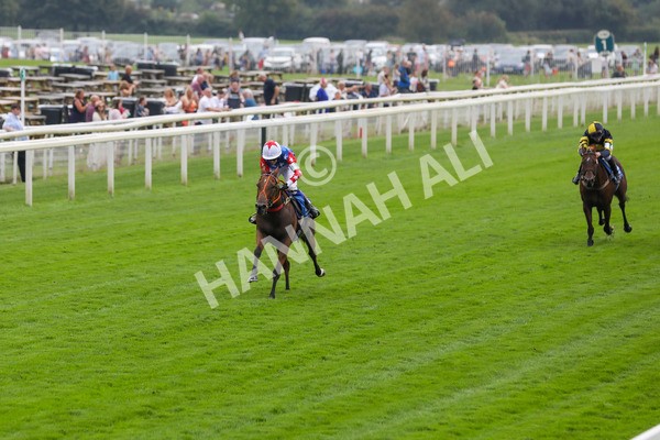 100923-Pony Race 1-Seal The Deal-3635 - Pony Race 1 12.25 The Dragon (TV and Film) Studios Pony Race 148cm & Under