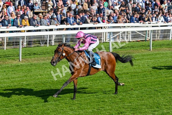 160525-Race 6-Bowmark-7172 - Race 6 4.55pm Darley EBF 'Confined' Novice Stakes