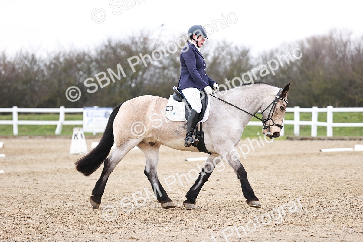 SBM_005230 - Elementary 1