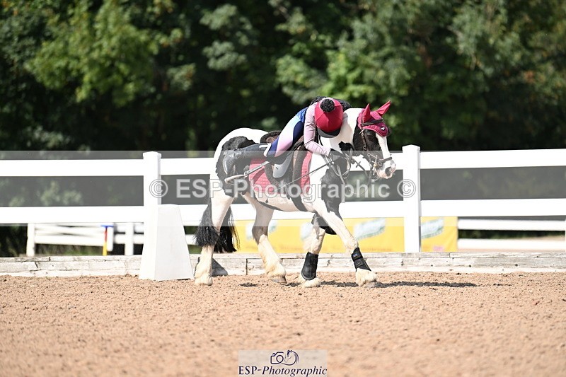 250821B-150137-00904 - Group D - Thomasina