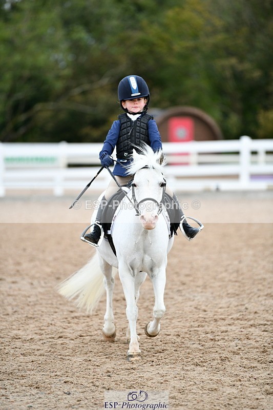 241013B-094856-00272 - Cls 1 Clear Round