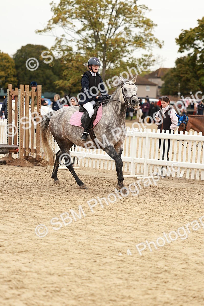 SBM_57994 - J11 - Junior Pony 50cm Championship