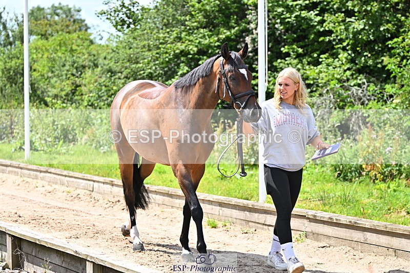 240718A-105244-01084 - Trot Up 12pm to 1pm