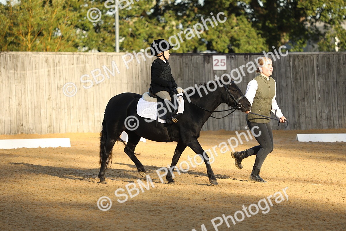 SBM_33565 - D26 - Starers - Lead Rein