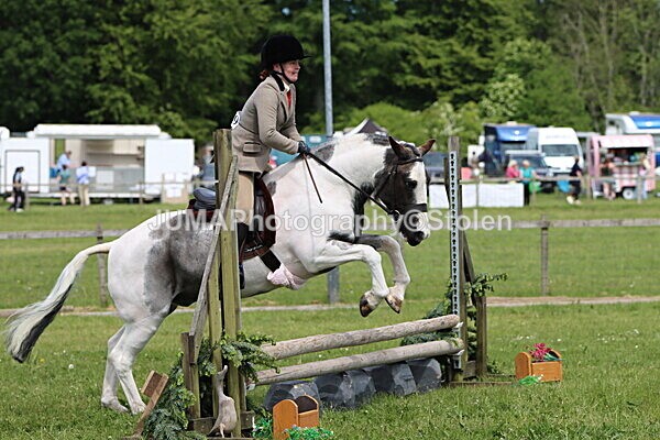 IMG_3246 - Working Hunter