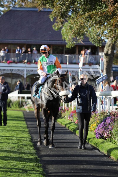 yr08102022r7-49 - Race 7 5.00pm The Coral Gets You Closer To The Action Stakes