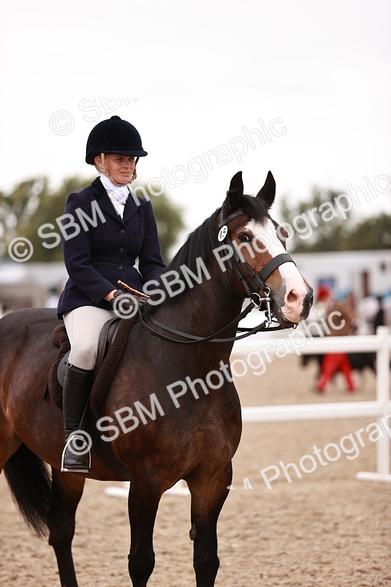 SBM_19038 - Class 422 - Ridden M&M