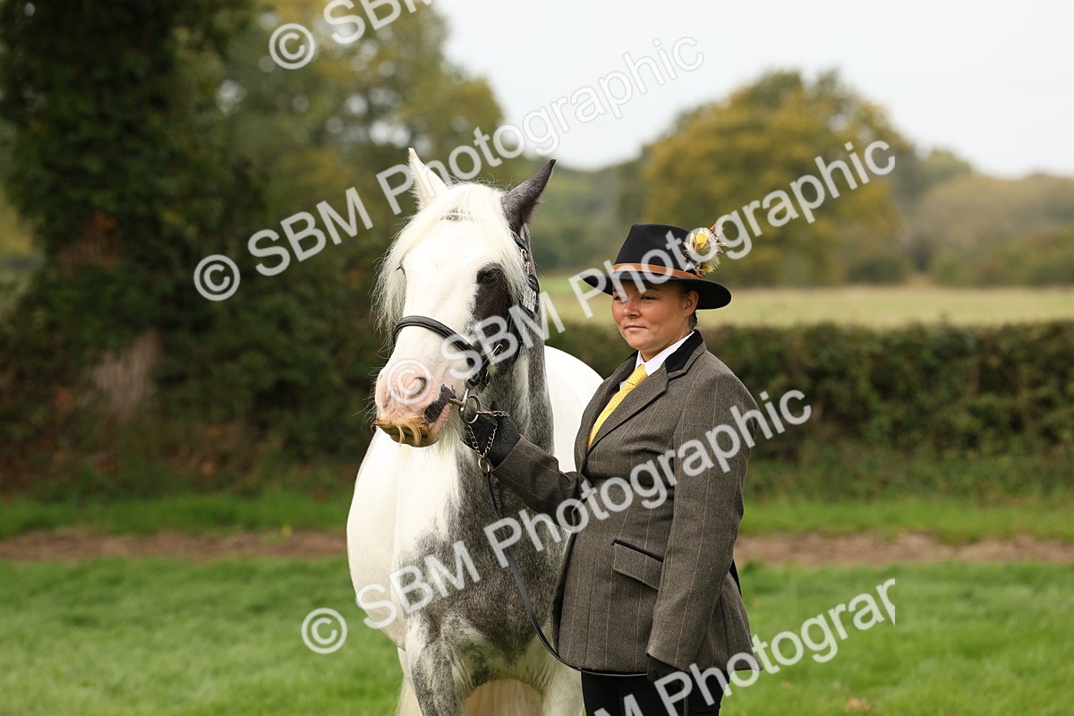 SBM_59338 - S57 - Traditional Cob In Hand