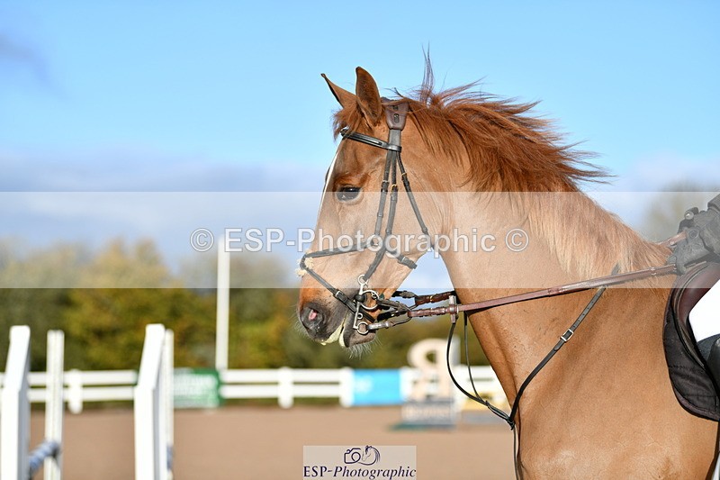 231110A-100704-00029 - Cls 1 Clear Round