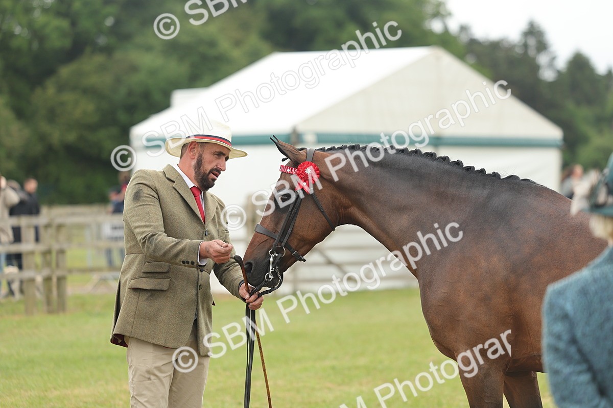SBM_05515 - Class 68-73 - Riding Pony Breeding