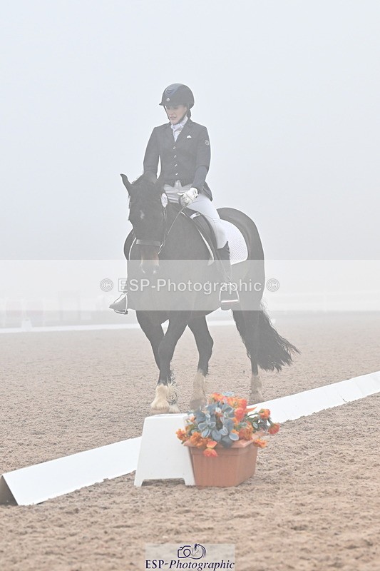 240217A-133306-03182 - 125-Rebecca.Ezra-Ham-Maesmynach.Mr.Sam