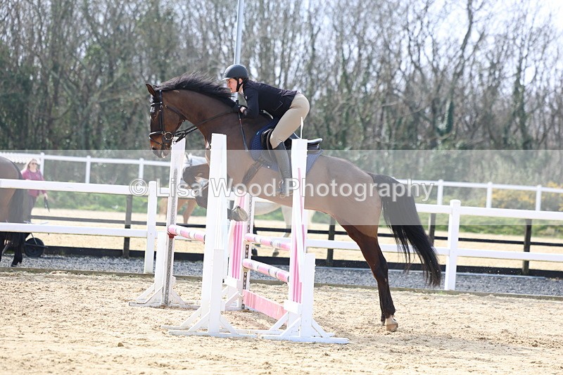 3E7A6832 - Class 4: Senior British Novice/90cm open