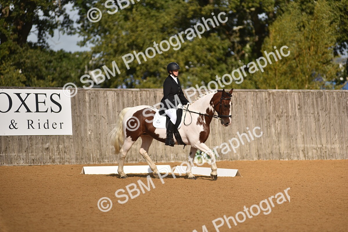 SBM_03177 - D4 - Small Tour Championship Intro 4
