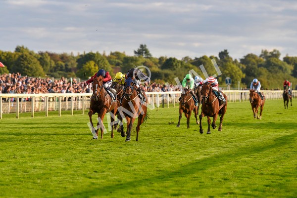230923-Race 7-Two Brothers-7173 - Race 7 5.30pm Neil Atkinson's 60th Birthday Celebration Handicap