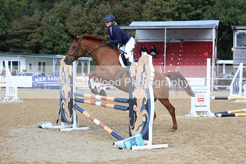 3E7A9080 - Class 9: Senior British Novice/90cm open