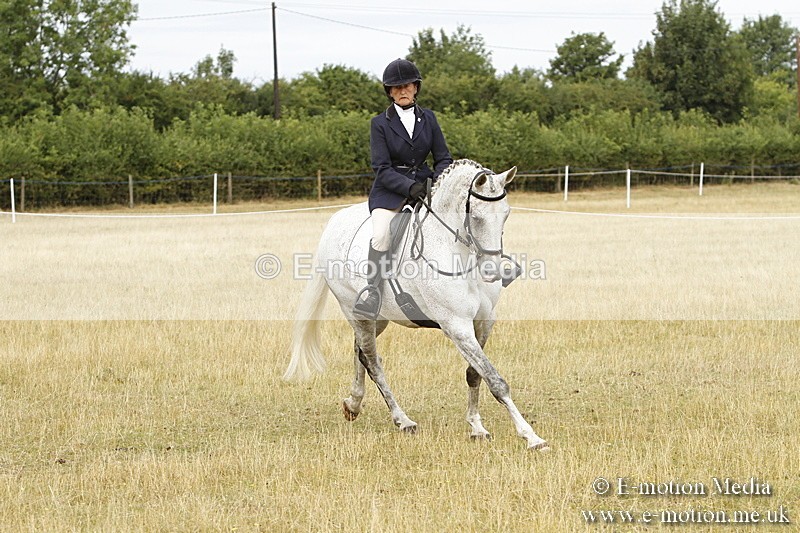 _BS_0608 - BVRC Show 2018 Ring 3