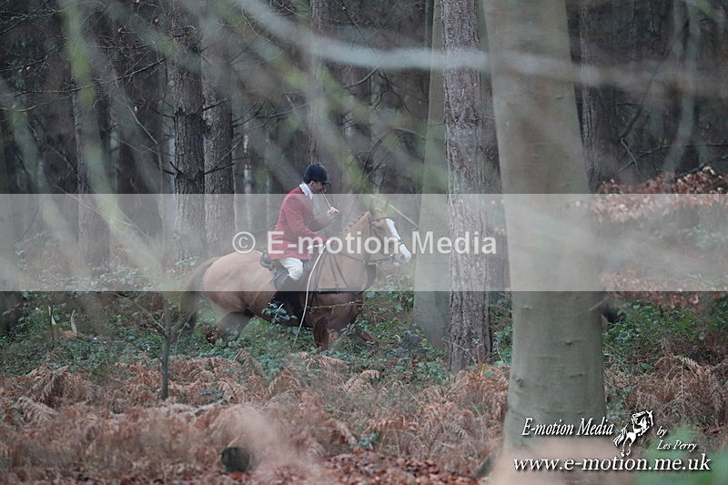 HUPY 261224 300 - Pytchley with Woodland Hunt Boxing Day Meet 26th December 2024