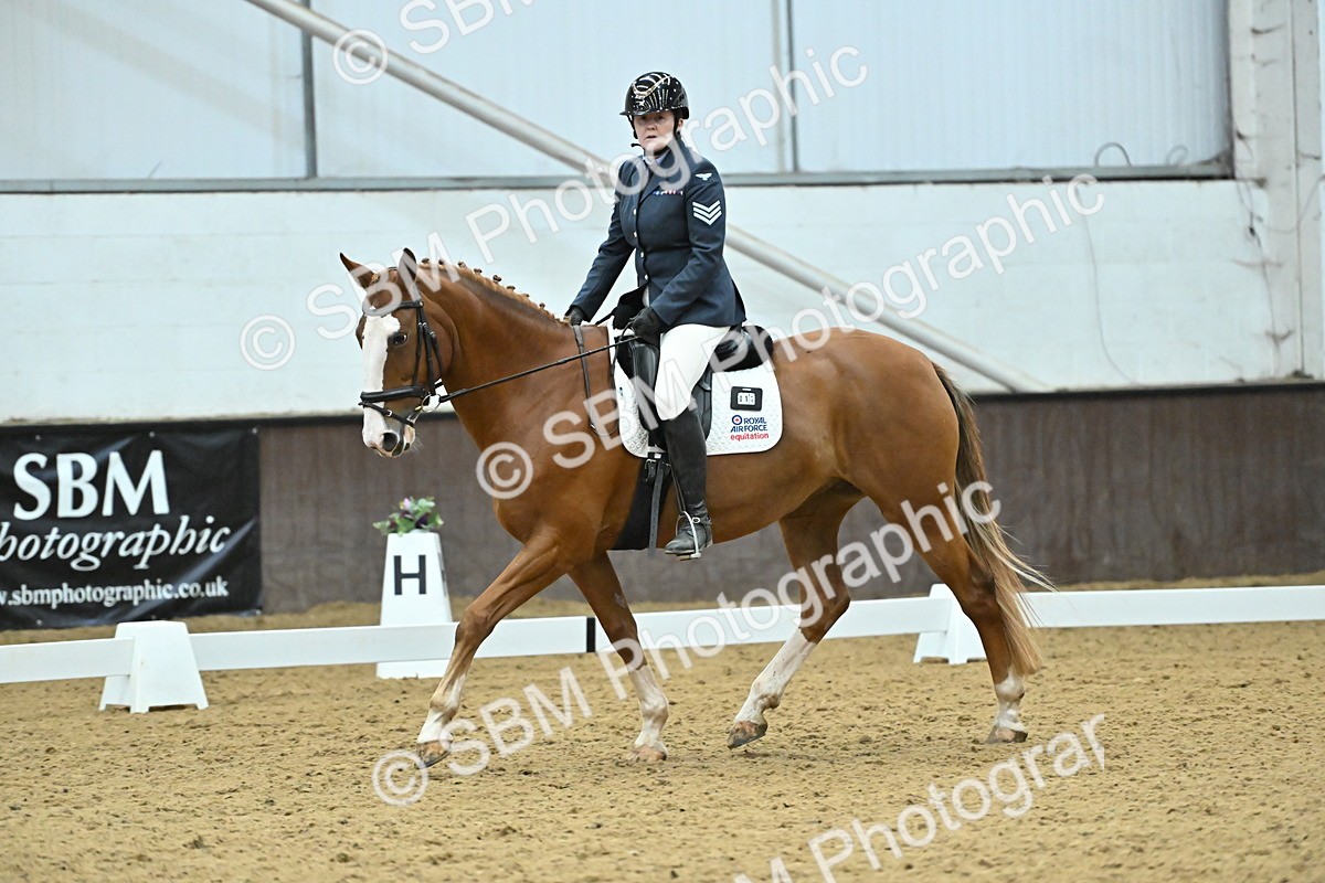 SBM_007548 - Class 81 - Novice 3