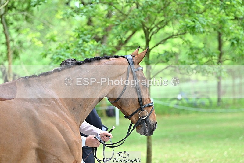 250521A-151332-00352 - B-353-Alexander.Bragg-JAEGER.MASTER