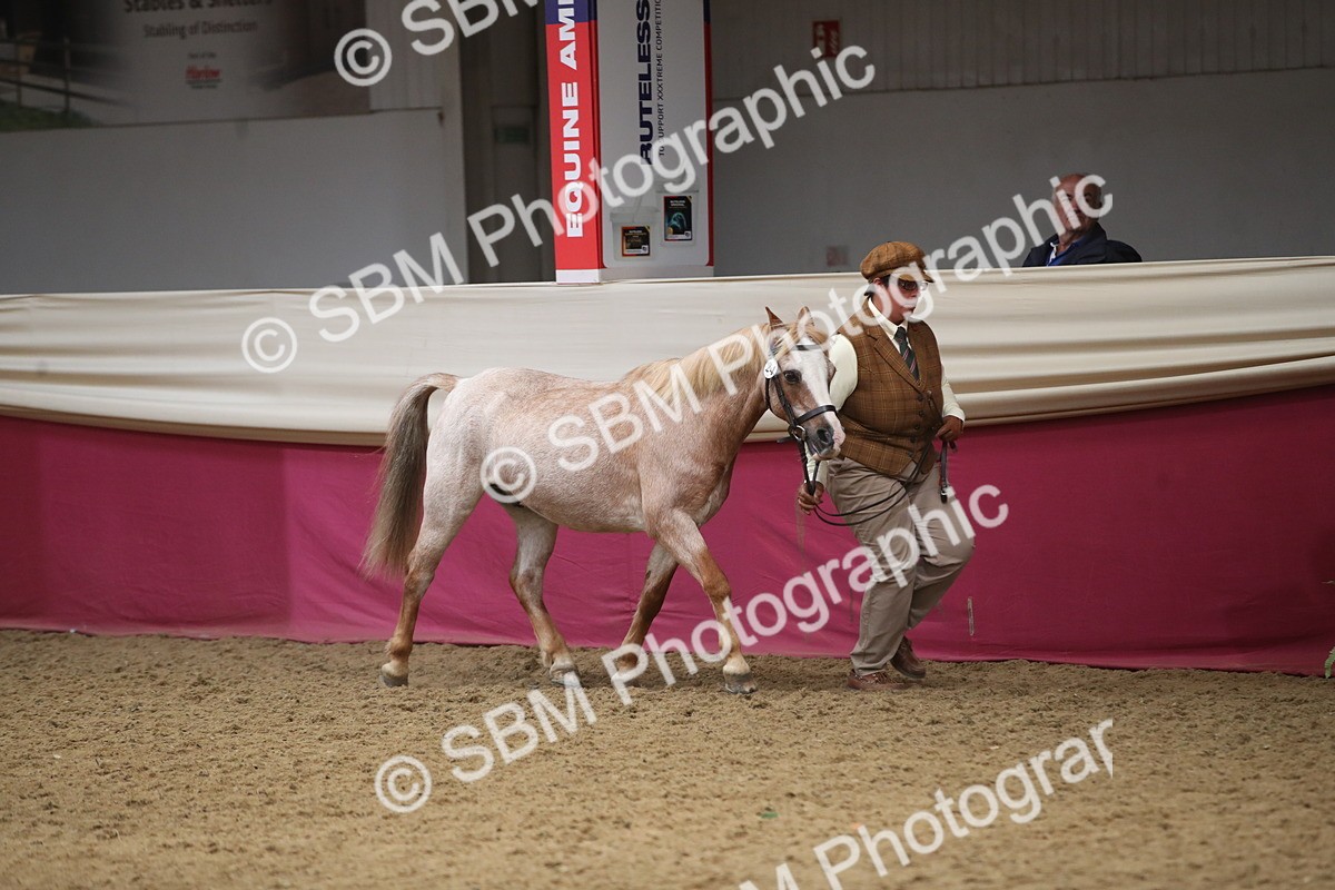 SBM_05256 - Class 8R - Regional IH Veteran