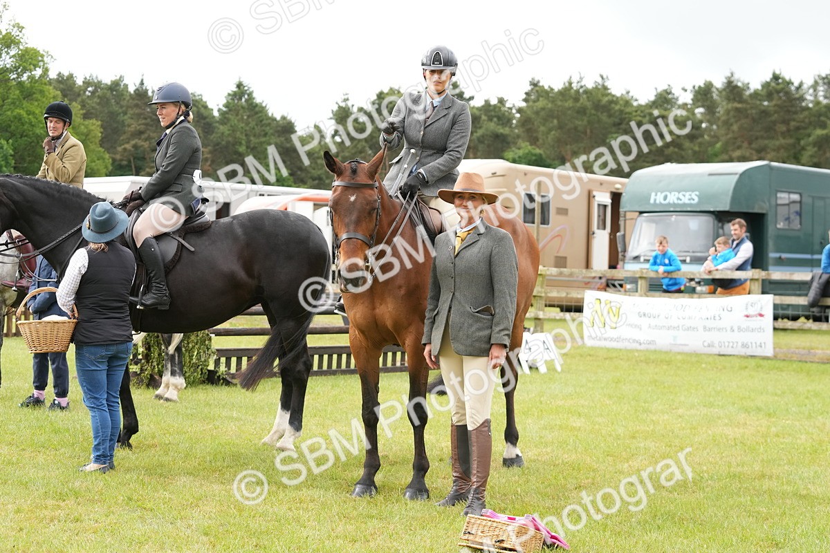 SBM_12792 - Class 97-98 - LIHS BSHA Rising Star Working Show Horse Hunter
