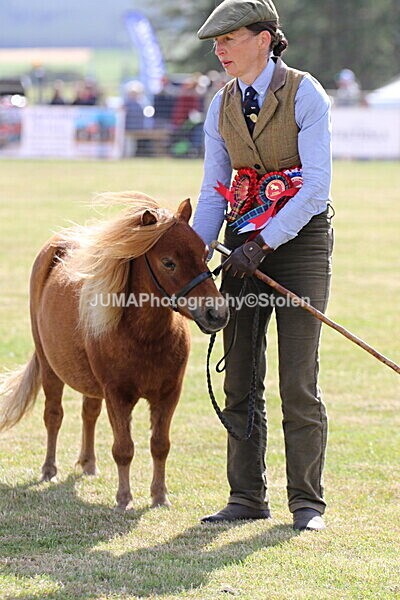 SIAL5207 - overall champion
