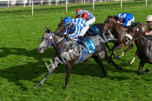 250823-Race 7-Silver Sword-1235 - Race 7 5.15pm Sky Bet Mile Handicap
