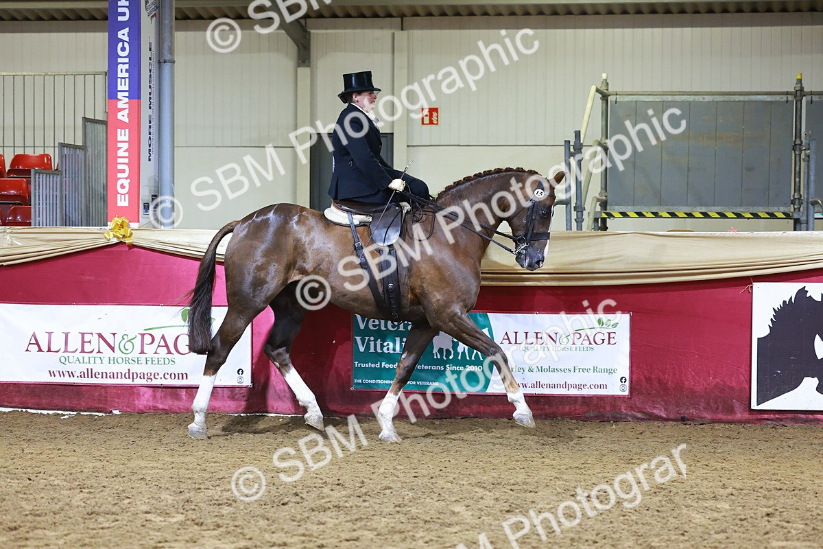 SBM_15387 - Class Q - Ridden Horse Champ