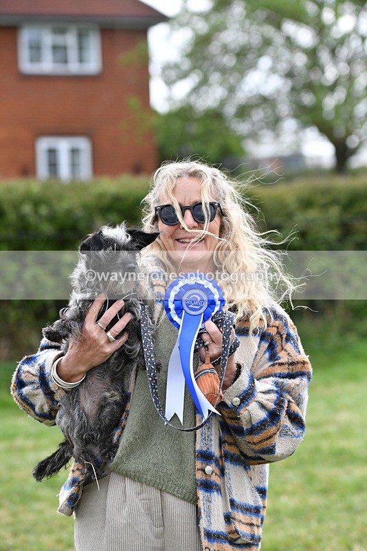 WJ5_9403 - Class 1 Best Cross Breed / Heniz 57