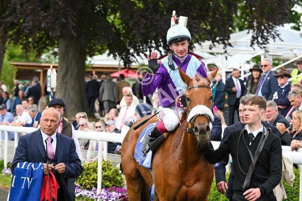 150525-See The Fire-4555 - Race 3 3.13pm Al Basti Equiworld Dubai Middleton Fillies' Stakes