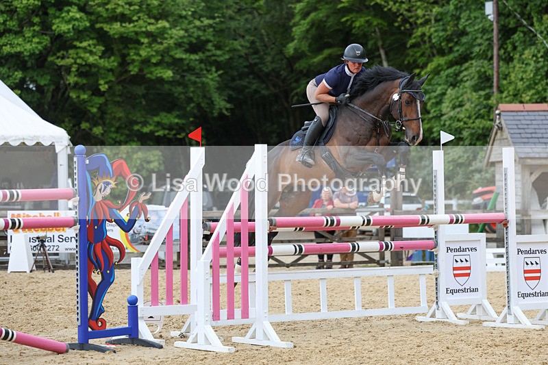 3E7A7907 - Class 8: Senior Foxhunter/1.20 open